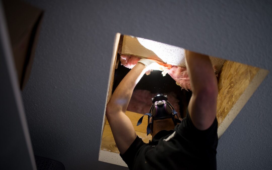 Esperance Home Inspections